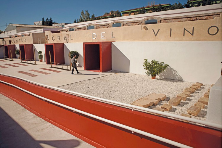 El Centro Integral del Vino abre sus puertas tras años de obras