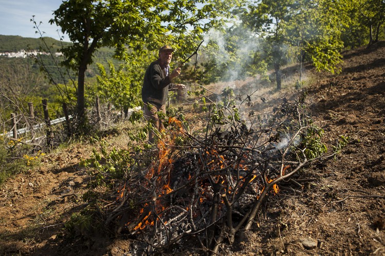 La Junta suspende excepcionalmente la quema de rastrojos hasta el 10 de abril por las altas temperaturas