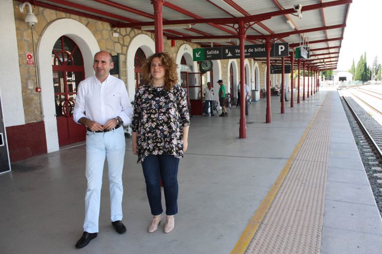 El PSOE reclama la puesta en servicio del Corredor Ferroviario del Mediterráneo en el tramo entre Algeciras y Bobadilla