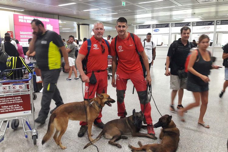 Dos bomberos y tres perros del Parque de Ronda viajan a Italia tras el terremoto para rescatar a personas atrapadas bajo los escombros
