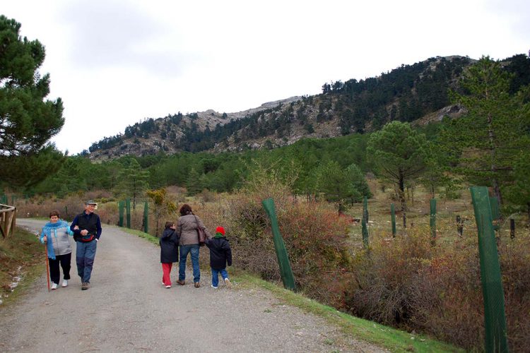 IU solicita en el Congreso que Sierra Bermeja se incluya en el futuro Parque Nacional de la Sierra de las Nieves
