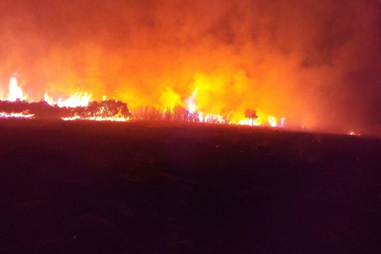 El incendio declarado en Las Navetas sigue sin control y el Infoca, UME y bomberos continuarán trabajando toda la noche para extinguirlo