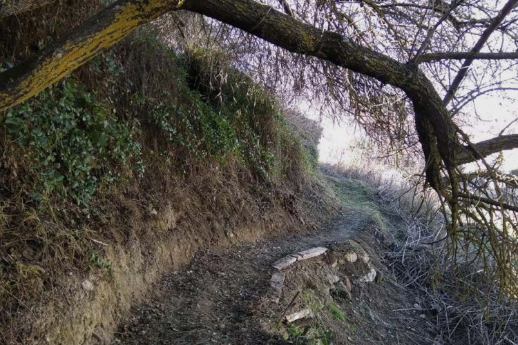 La Plataforma en Defensa de los Caminos Públicos de la Serranía recupera el ‘camino del Callejón de San Acacio’