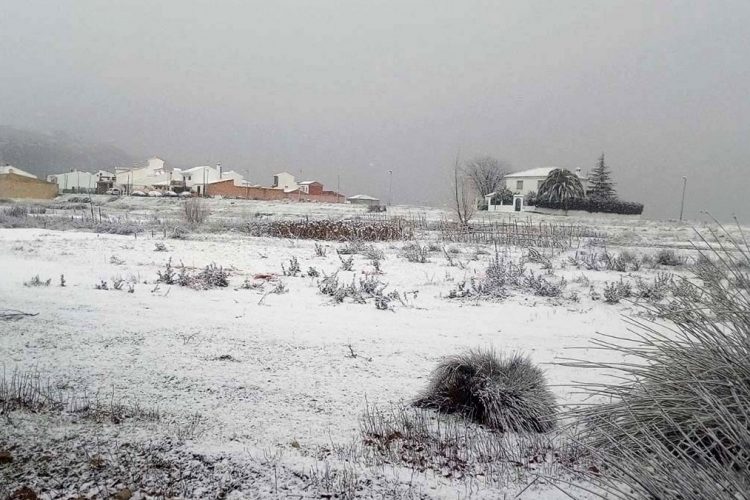 Una intensa y rápida nevada sorprende a los vecinos de Cuevas del Becerro y cubre el municipio serrano