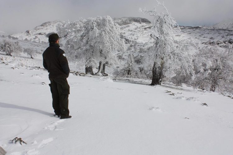 La Diputación de Málaga promociona los atractivos del pico Torrecilla de la Sierra de las Nieves