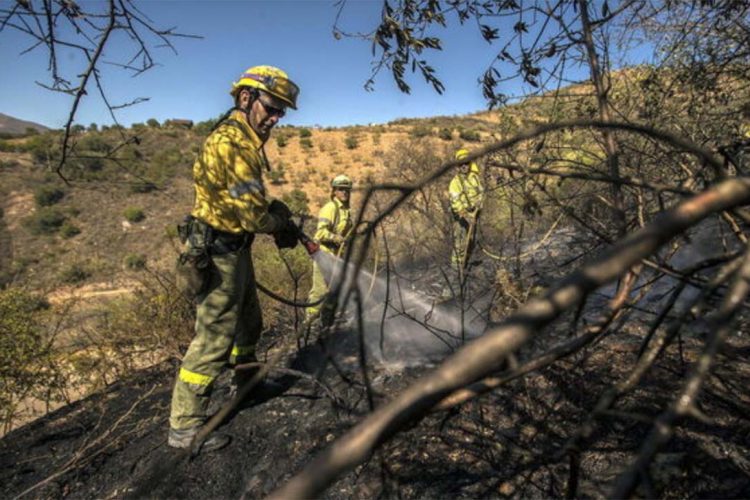 La Junta prohíbe el uso del fuego en los espacios forestales y de influencia medioambiental de Andalucía