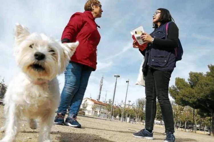 Entra en vigor la nueva normativa que obliga a los propietarios de perros a diluir con líquidos los orines en las calles de Ronda
