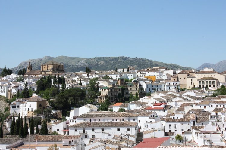 Un recurso presentado por el Colegio de Arquitectos de Málaga frena temporalmente la redacción del nuevo Plan Especial del Casco Histórico