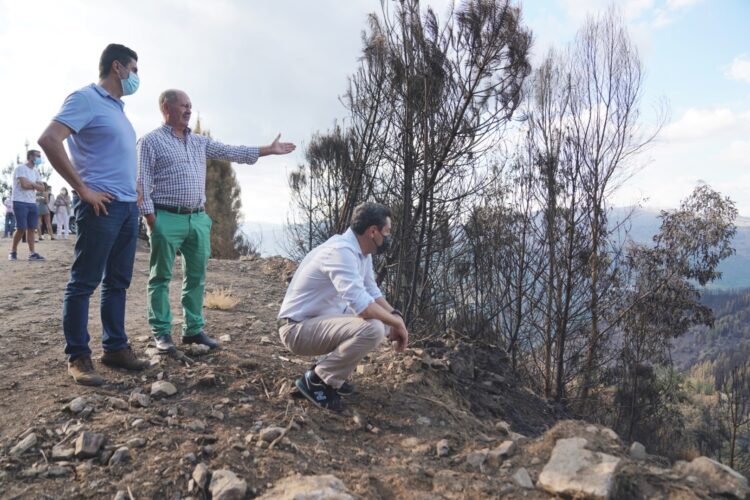 La Junta pedirá al Gobierno de España la declaración de zona catastrófica para Sierra Bermeja