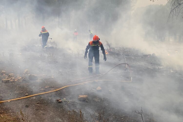 Apagan un incendio en el pinar de La Dehesa de Ronda que ha podido ser intencionado