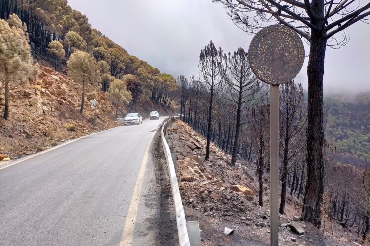 La Diputación inicia la reparación de las carreteras afectadas por el incendio de Sierra Bermeja con 648.000 euros