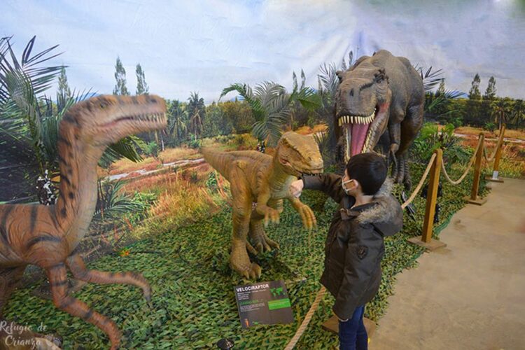 La exposición interactiva Dinosaurs Live-The Exhibition- llega a Ronda este fin de semana