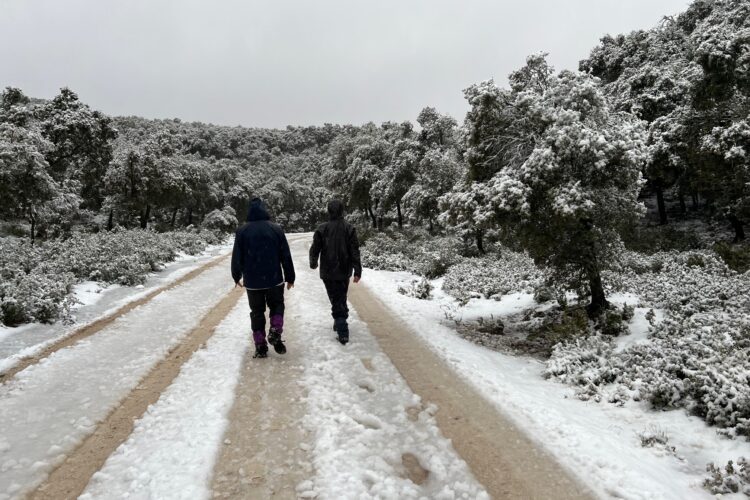 La nieve ha alcalzado hasta veinte centímetros de altura en algunos parajes el Parque Nacional Sierra de las Nieves