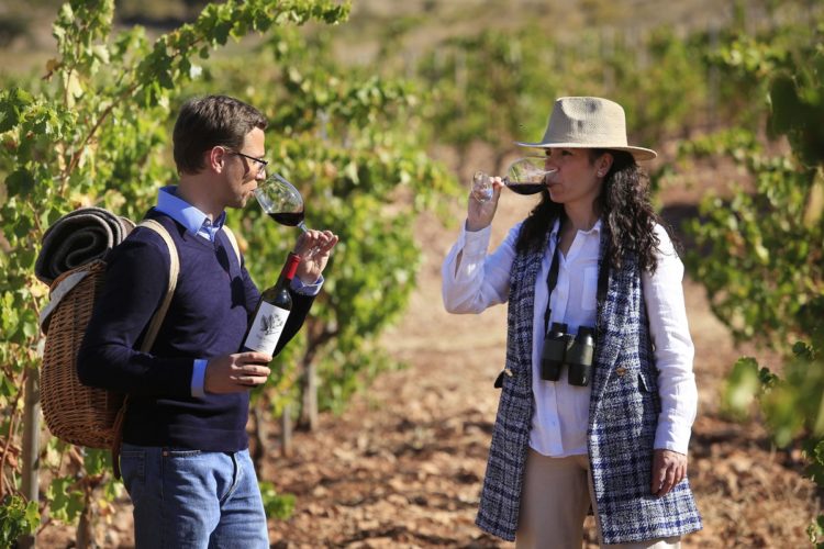 Ronda acoge el curso de historia y ciencia en los vinos de Málaga
