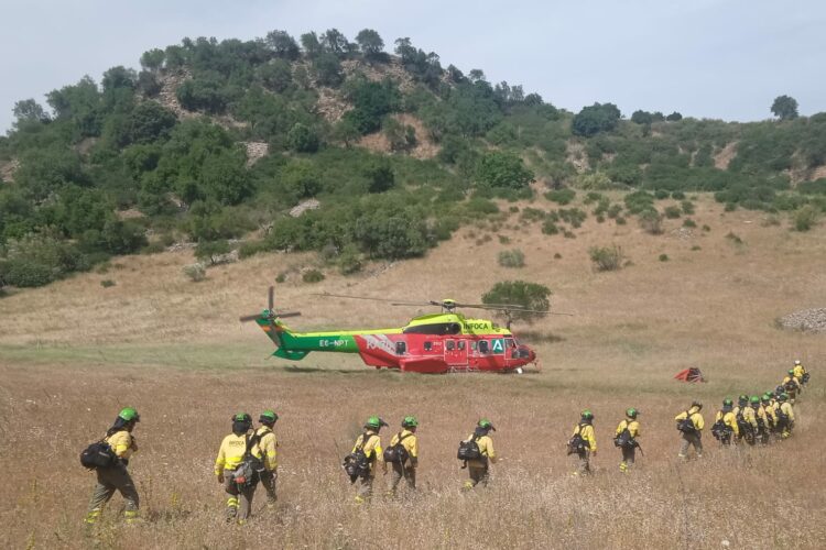 Extinguido el incendio forestal declarado este jueves en Algatocín