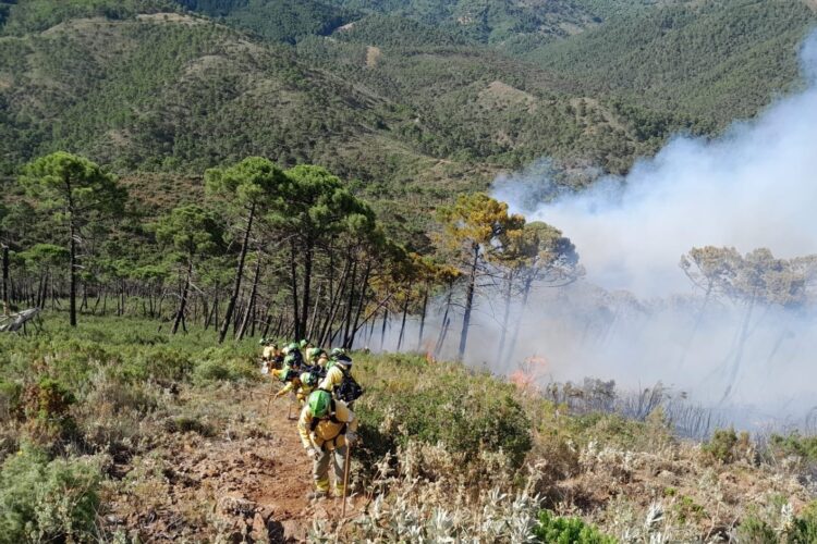 Tres bomberos del Infoca resultan heridos en el incendio de Pujerra