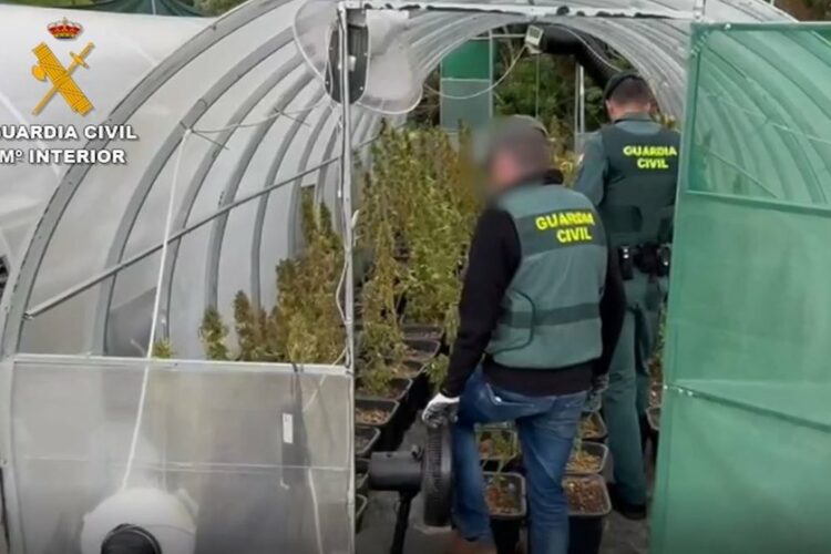 La Guardia Civil desarticula una organización criminal dedicada al cultivo indoor de marihuana la Serranía de Ronda