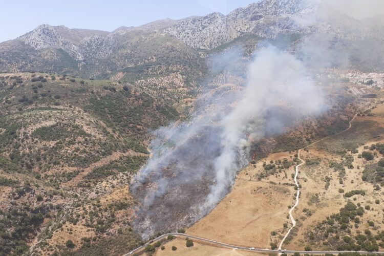 Declarado un incendio forestal en el paraje de la Estación de Cortes de la Frontera