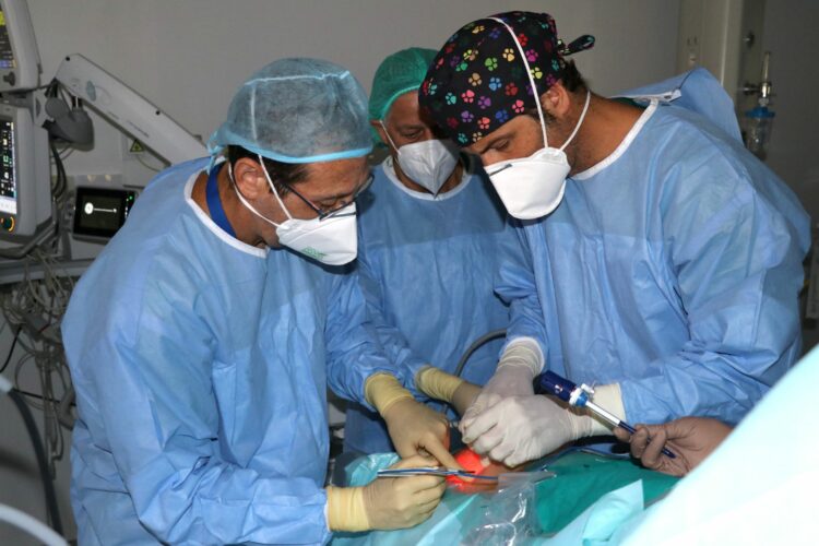 Estudian implantar la cirugía laparoscópica en cáncer de próstata en el Hospital de la Serranía
