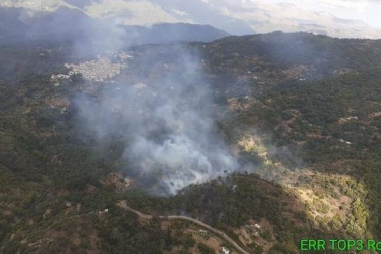 Declarado un incendio forestal en Jubrique
