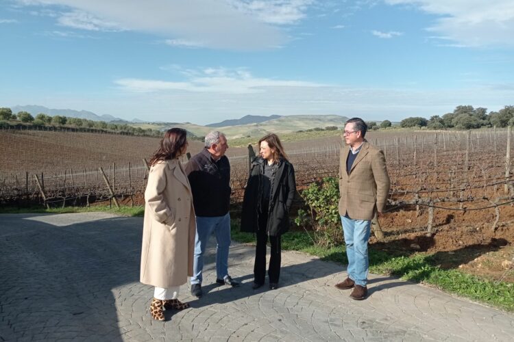 La Junta destina cerca de un millón de euros para potenciar el sector del vino en la Serranía