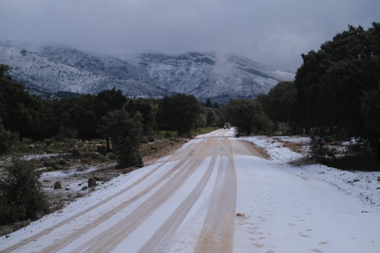 El frío se marcha de la Serranía dejando una intenso manto blanco en la Sierra de las Nieves