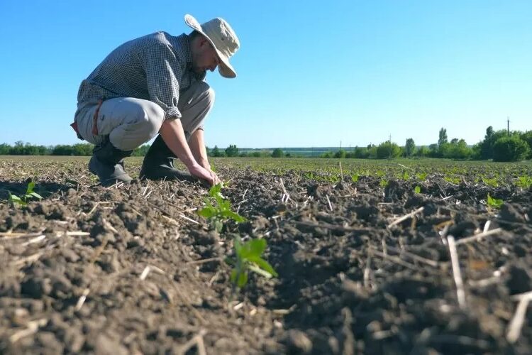 Sequía: empresas agroalimentarias y ganaderas de la comarca reciben ayudas de la Diputación de Málaga
