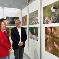 Montejaque acoge durante este fin de semana el certamen ornitológico Andalucía Bird Festival