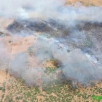 Varias unidades del Infoca luchan contra un incendio forestal en Montecorto