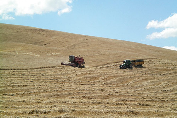 El sector agrícola se ahoga en la subida del combustible y los piensos