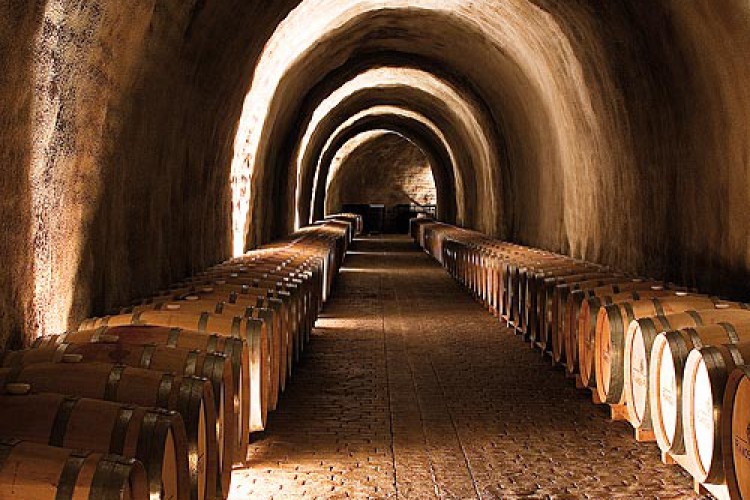 El restraso en el PGOU afecta al desarrollo del sector del vino