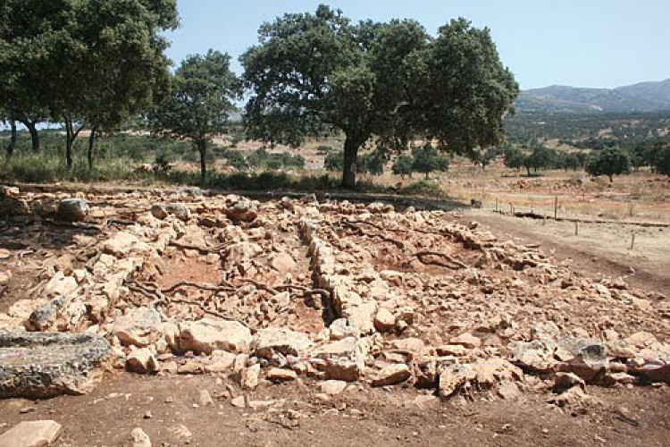 Descubren una villa romana en Los Merinos