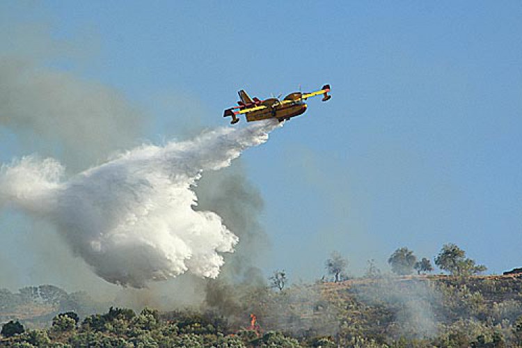 Un incendio calcina una amplia zona de matorral y encinar