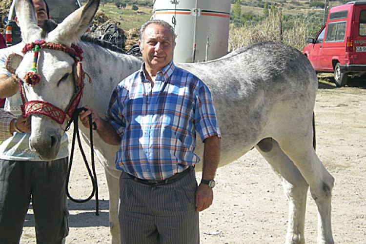 ‘Imperial’ gana el concurso de burros del barrio de San Francisco