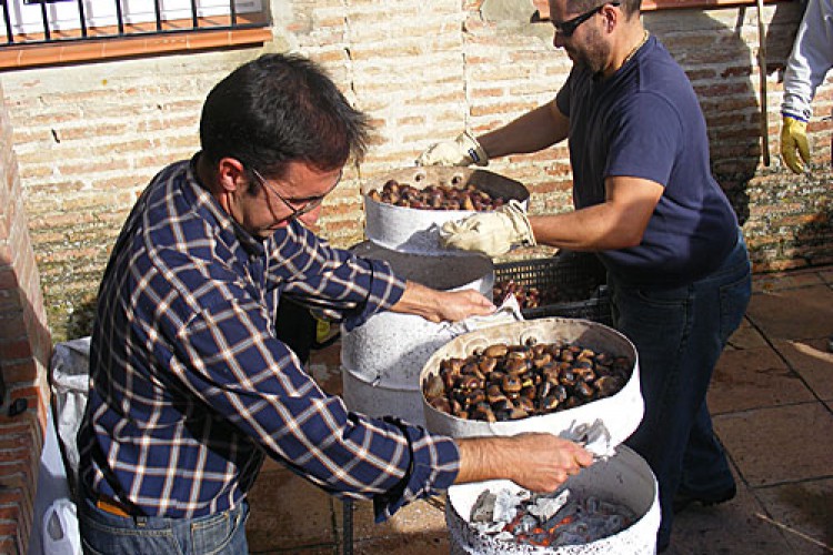 Tostón de castañas en el colegio Fernando de los Ríos