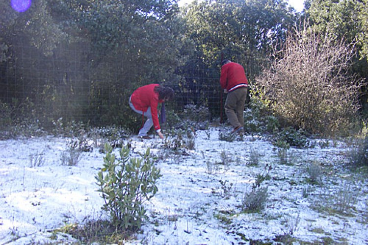 La nieve vuelve a la Serranía