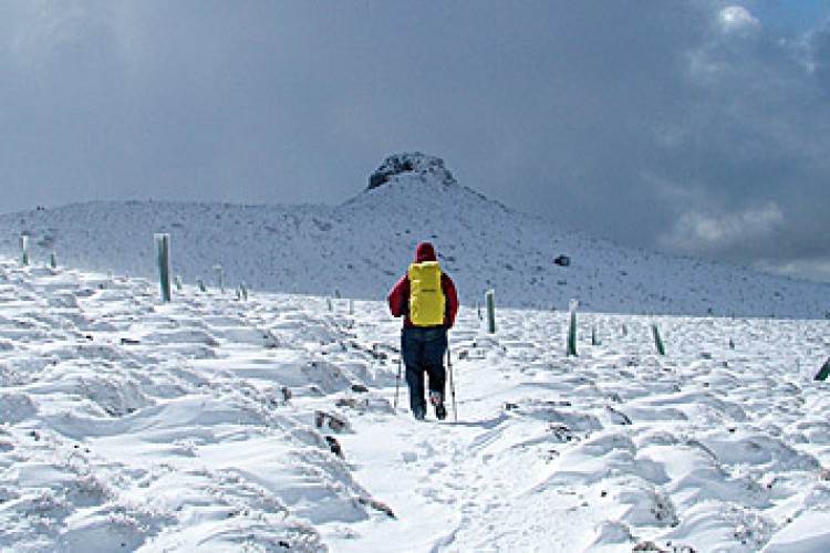 Una aventura de Pasos Largos que termina en los picos nevados