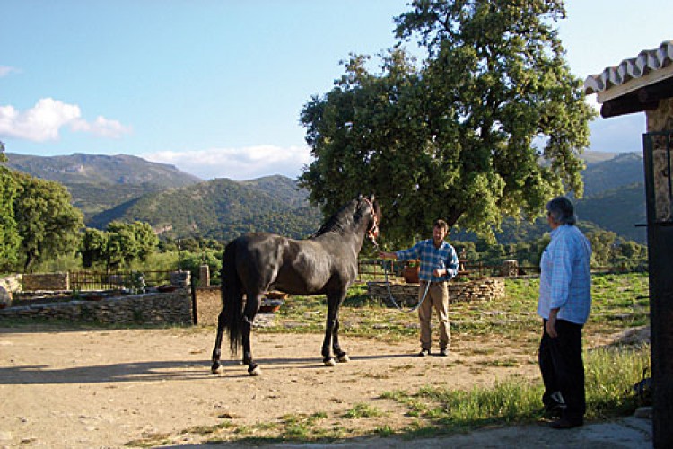 La Algaba de Ronda