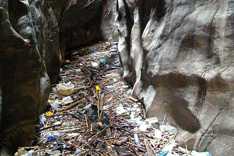 SAEPO y el Ayuntamiento de Cortes de la Frontera limpiarán de basura ‘Las Buitreras’