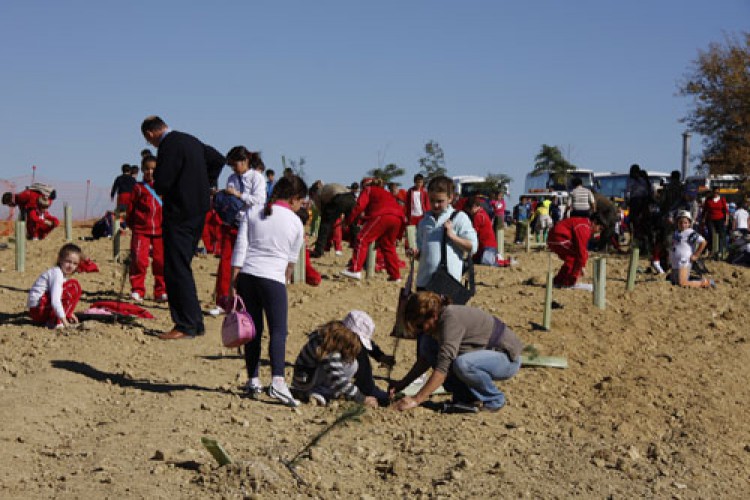 Escolares rondeños plantan 1.400 ejemplares de especies autóctonas