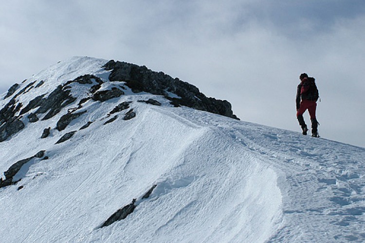 El Gobierno andaluz aprueba la propuesta para declarar a la Sierra de las Nieves como Parque Nacional