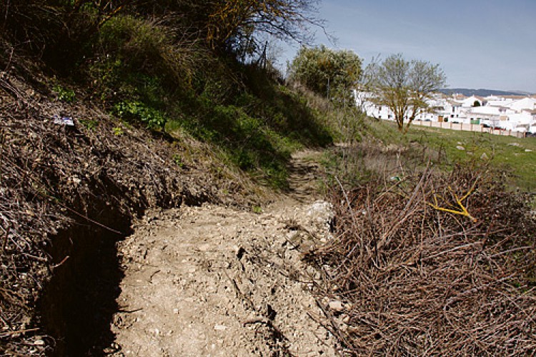 El TSJA anula el catálogo de caminos públicos