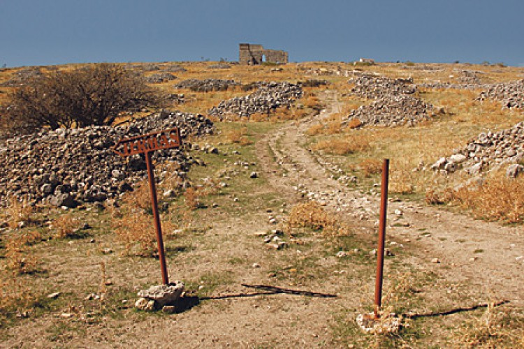Acinipo, un yacimiento en el olvido