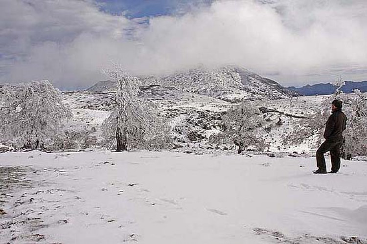 Las cumbres de la Sierra de las Nieves se cubren de blanco