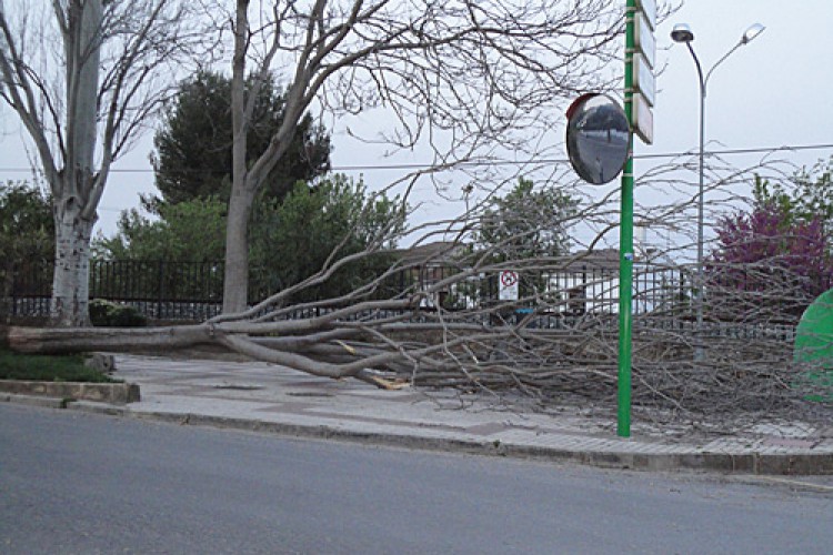 El fuerte viento provoca daños materiales de diversa consideración