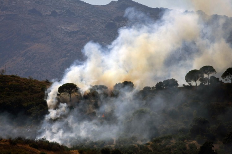 Un incendio calcina parte del paraje de la Virgen de la Cabeza