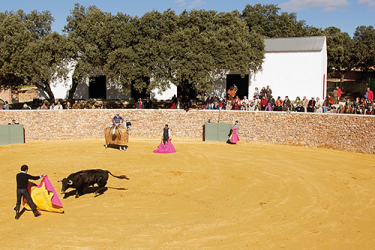 Ronda contará con el primer centro de interpretación taurino de la provincia