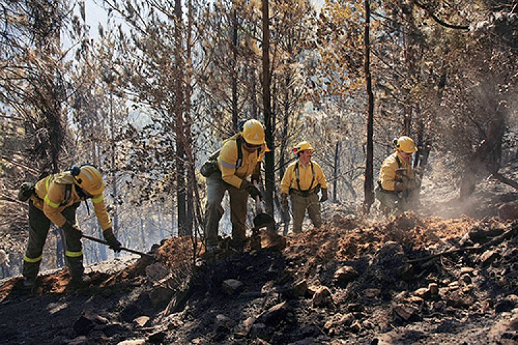 La superficie afectada por el incendio asciende a 750 hectáreas