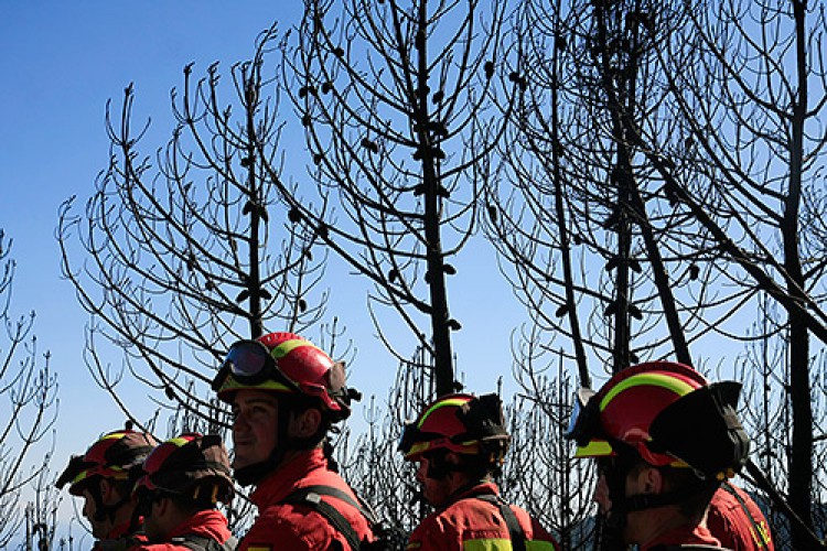 Ecologistas en Acción exige que se investigue el incendio de Pujerra