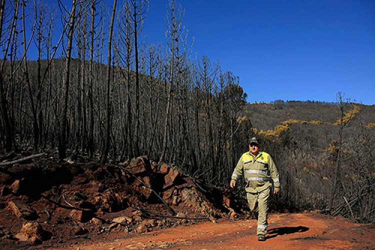 Denuncian falta de control sobre las quemas agrícolas que pudieron ocasionar el incendio de Pujerra